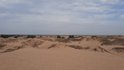 Алешковские пески, Олешковские пески, пустыня в Украине, дюны