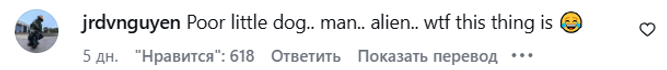 Реакция сети на собачку Макса