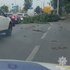 На кількох ділянках доріг у Києві через повалені дерева ускладнено рух