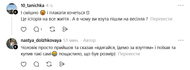 Собака погриз туфлі нареченої