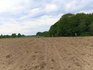 Вчені виявили трипільські артефакти