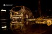 фото поврежденных машин 10 сентября
