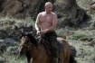 путин, путин голый торс, путин на коне