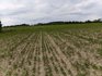 Археологи дослідили поселення