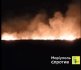 Пожежа у Ялті під Маріуполем