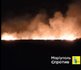 Пожежа у Ялті під Маріуполем