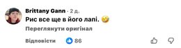 Хом'як повеселив мережу