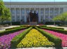 Фото на RugOne Xever 8
