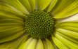 Примеры фотографий, сделанных на Galaxy S26 Ultra