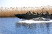 морська піхота, морпіхи, морпіхи у війні з РФ, бригади морської піхоти, бригади берегової оборони, морпіхи Херсонський напрямок, 30-й корпус морської піхоти, День морської піхоти України