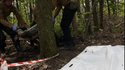захоронения, поиск пропавших без вести, деокупированные территории, поиск тел