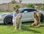 Lamborghini Huracan, авто шейхов, разбитый Lamborghini, частный зоопарк