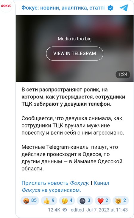 Сотрудники ТЦК забирают у девушки телефон