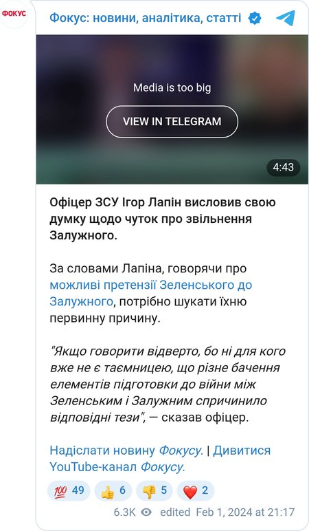 Лапин о возможной отставке Залужного