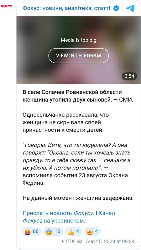 Жительница Ровненской области утопила двух сыновей