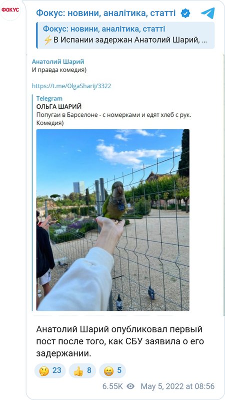Жена Анатолия Шария не подтвердила информацию о задержании блогера