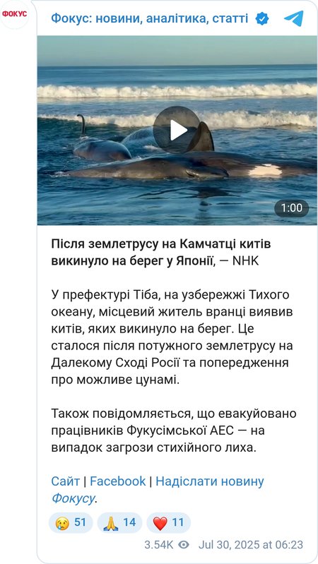 Кити загинули в Японії через землетрус на Камчатці