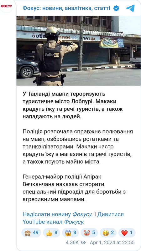 Мавпи тероризують Лобпурі