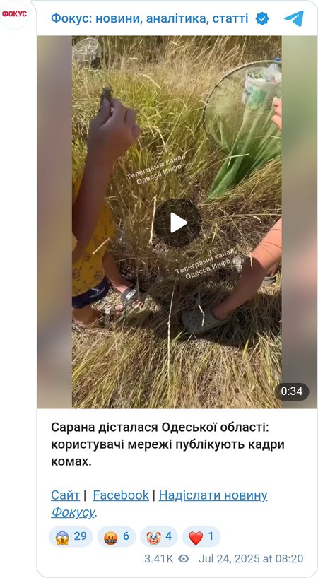 Саранча вышла к побережью Черного моря