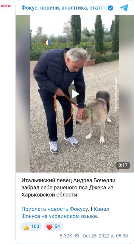 Пес Джек із Куп'янська тепер живе у родині всесвітньо відомого тенора