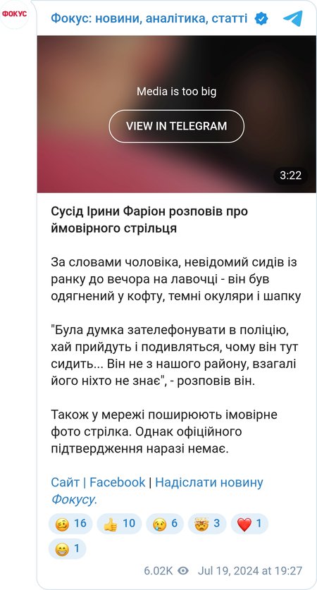 Убийство Ирины Фарион