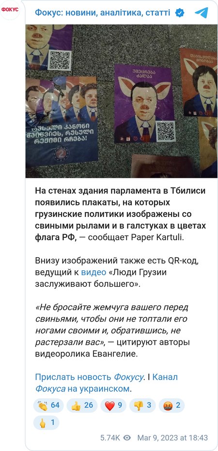 Плакати на стінах грузинського парламенту