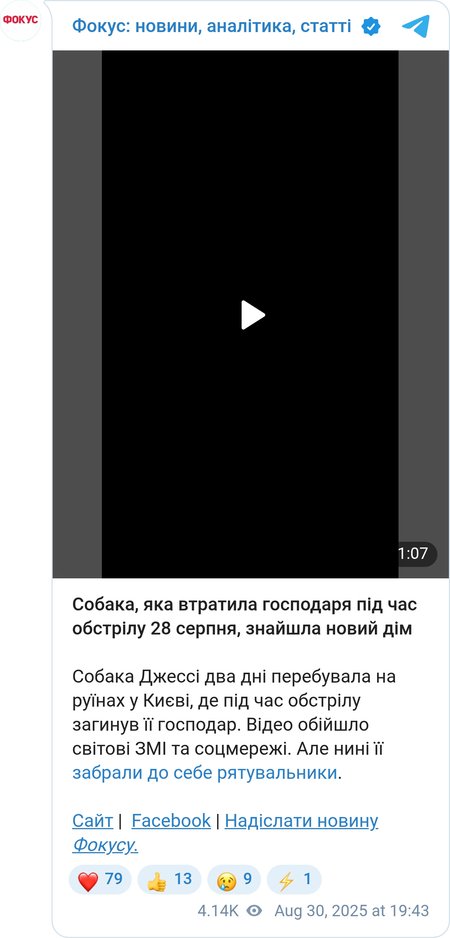 Собаку Джесси забрали к себе спасатели