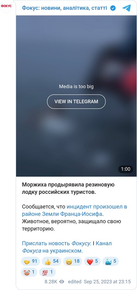 Самка моржа атакує човен