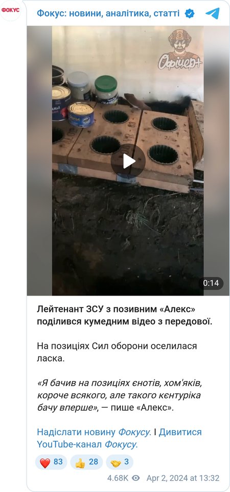 На позициях украинских военных поселилась ласка