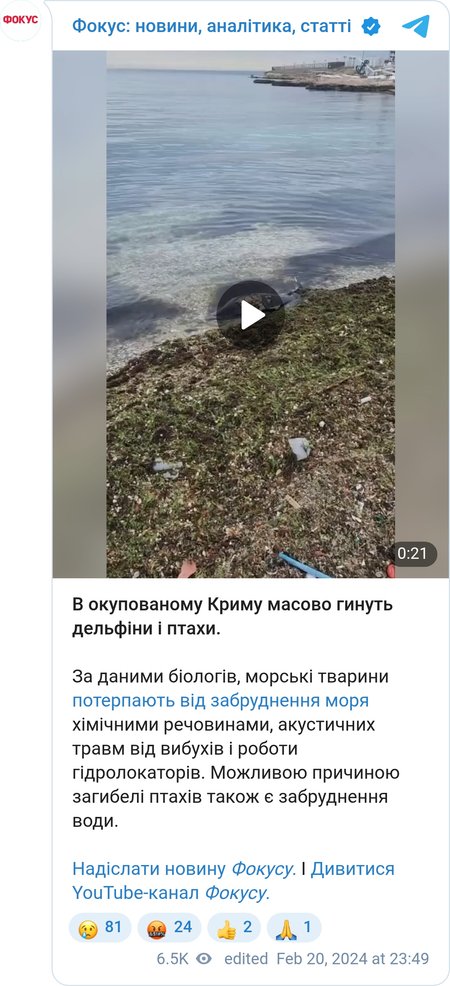 Погибшие птицы и дельфины в Крыму