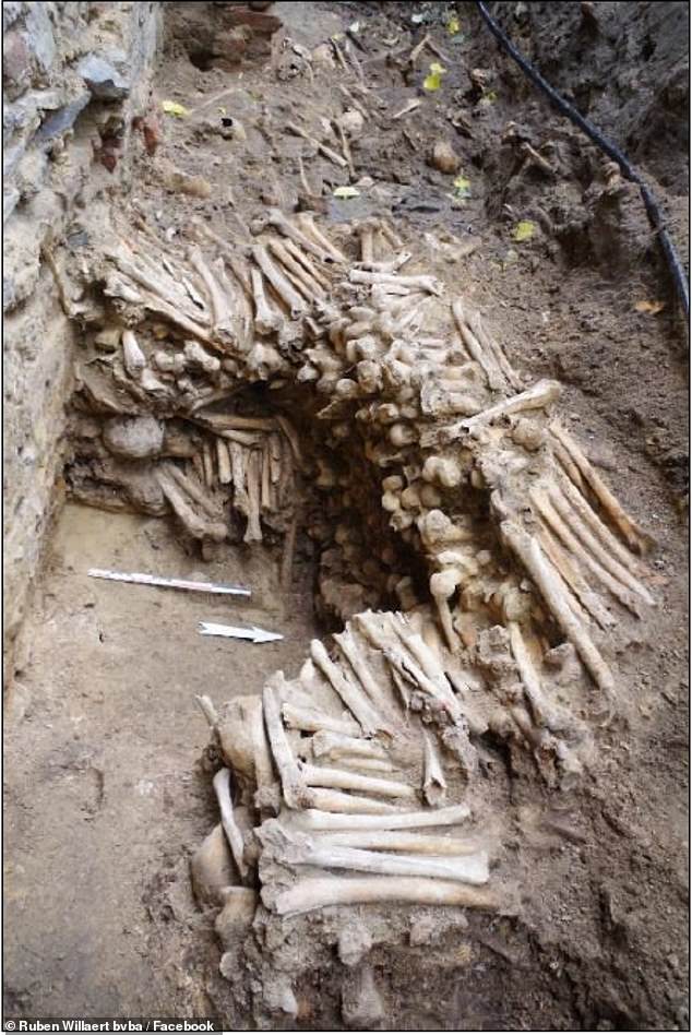 кости, собор в генте, гент, бельгия, стена из костей и черепов