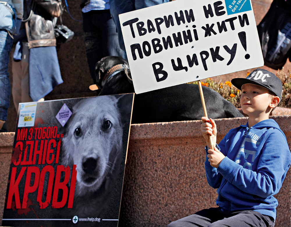 активисты, зоозащитники, акция, фото, собака